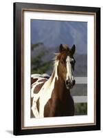 Quarter 021-Bob Langrish-Framed Photographic Print