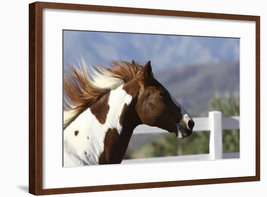 Quarter 022-Bob Langrish-Framed Photographic Print