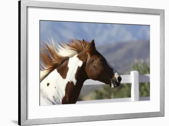 Quarter 022-Bob Langrish-Framed Photographic Print