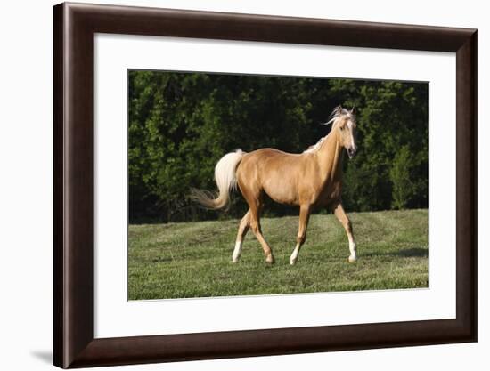 Quarter 029-Bob Langrish-Framed Photographic Print