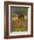 Quarter Horse in Wildflower Field Near Cuero, Texas, USA-Darrell Gulin-Framed Photographic Print