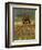 Quarter Horse in Wildflower Field Near Cuero, Texas, USA-Darrell Gulin-Framed Photographic Print