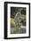 Quarter Horse Trotting on Trail-DLILLC-Framed Premium Photographic Print