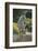 Quarter Horse Trotting on Trail-DLILLC-Framed Photographic Print