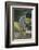 Quarter Horse Trotting on Trail-DLILLC-Framed Photographic Print