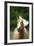 Quarter Horses 005-Bob Langrish-Framed Photographic Print