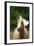 Quarter Horses 005-Bob Langrish-Framed Photographic Print