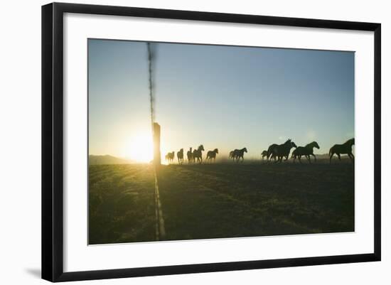 Quarter Horses Running by Fence Line-DLILLC-Framed Photographic Print