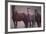Quarter Horses-DLILLC-Framed Photographic Print