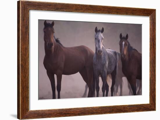 Quarter Horses-DLILLC-Framed Photographic Print