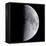 Quarter Moon-null-Framed Premier Image Canvas