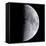 Quarter Moon-null-Framed Premier Image Canvas