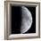 Quarter Moon-null-Framed Photographic Print