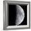 Quarter Moon-null-Framed Photographic Print