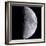 Quarter Moon-null-Framed Photographic Print