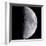 Quarter Moon-null-Framed Photographic Print