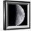 Quarter Moon-null-Framed Photographic Print