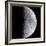 Quarter Moon-null-Framed Photographic Print