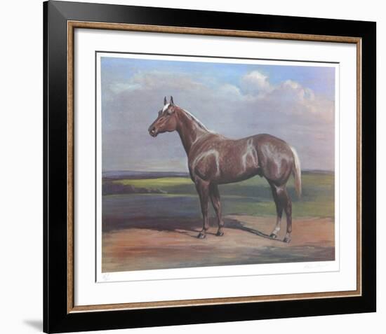 Quarterhorse-Helen Hayse-Framed Collectable Print