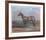 Quarterhorse-Helen Hayse-Framed Collectable Print