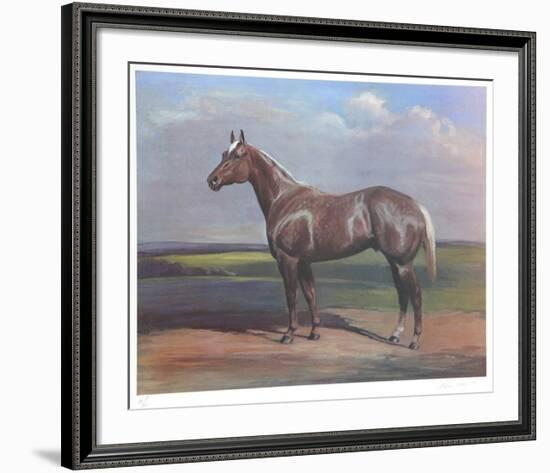 Quarterhorse-Helen Hayse-Framed Collectable Print