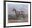 Quarterhorse-Helen Hayse-Framed Collectable Print