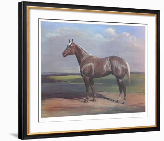 Quarterhorse-Helen Hayse-Framed Collectable Print