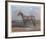 Quarterhorse-Helen Hayse-Framed Collectable Print