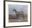 Quarterhorse-Helen Hayse-Framed Collectable Print