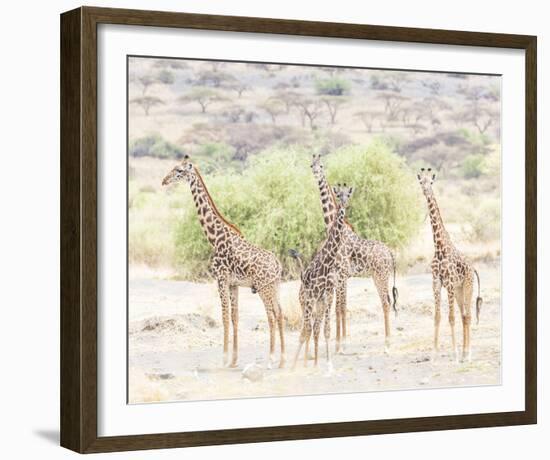 Quartet-Wink Gaines-Framed Giclee Print