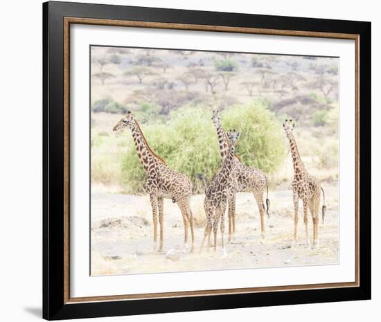 Quartet-Wink Gaines-Framed Giclee Print