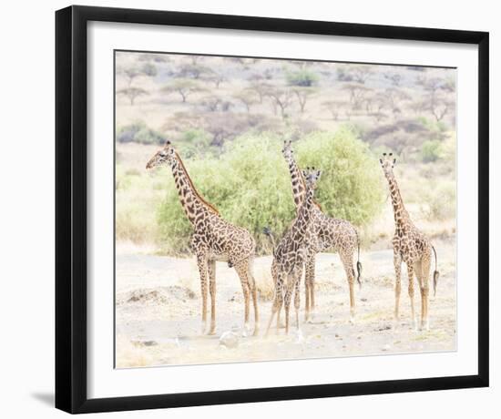 Quartet-Wink Gaines-Framed Giclee Print