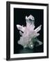 Quartz Crystals-Roberto De Gugliemo-Framed Photographic Print