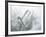 Quartz Crystals-Lawrence Lawry-Framed Photographic Print