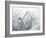 Quartz Crystals-Lawrence Lawry-Framed Photographic Print