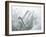 Quartz Crystals-Lawrence Lawry-Framed Photographic Print