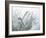 Quartz Crystals-Lawrence Lawry-Framed Photographic Print