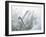 Quartz Crystals-Lawrence Lawry-Framed Photographic Print