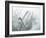 Quartz Crystals-Lawrence Lawry-Framed Photographic Print