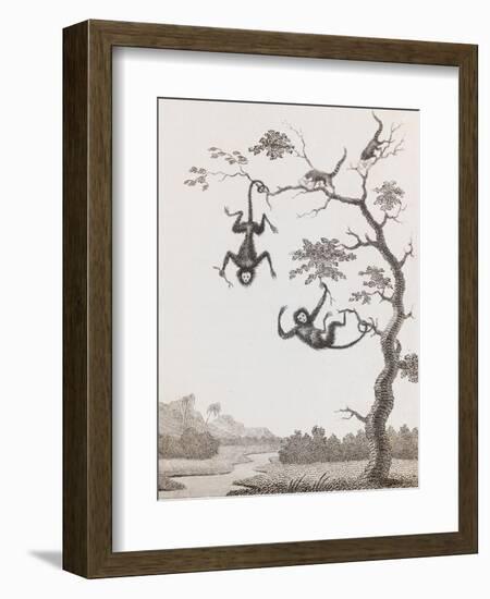 Quato and Saccawinkee Monkeys-William Blake-Framed Giclee Print