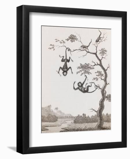 Quato and Saccawinkee Monkeys-William Blake-Framed Giclee Print