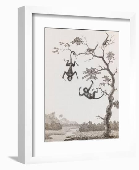 Quato and Saccawinkee Monkeys-William Blake-Framed Giclee Print