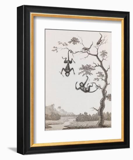 Quato and Saccawinkee Monkeys-William Blake-Framed Giclee Print