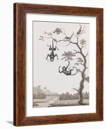 Quato and Saccawinkee Monkeys-William Blake-Framed Giclee Print