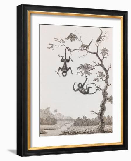 Quato and Saccawinkee Monkeys-William Blake-Framed Giclee Print