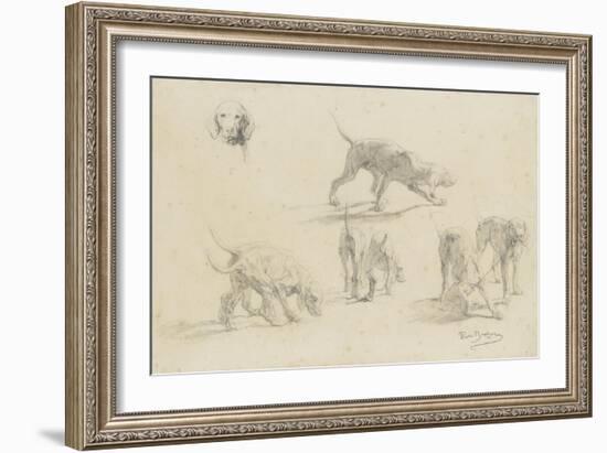 Quatre études d'un couple de chiens de chasse, et une tête de chien-Rosa Bonheur-Framed Giclee Print