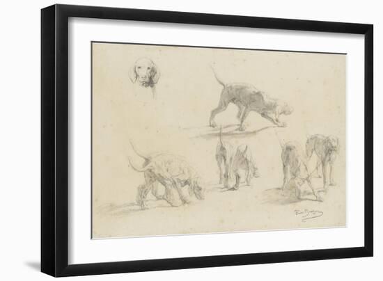 Quatre études d'un couple de chiens de chasse, et une tête de chien-Rosa Bonheur-Framed Giclee Print