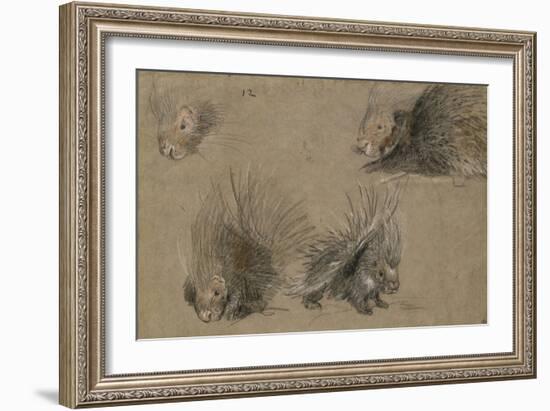 Quatre études de porc-épic-Pieter Boel-Framed Giclee Print