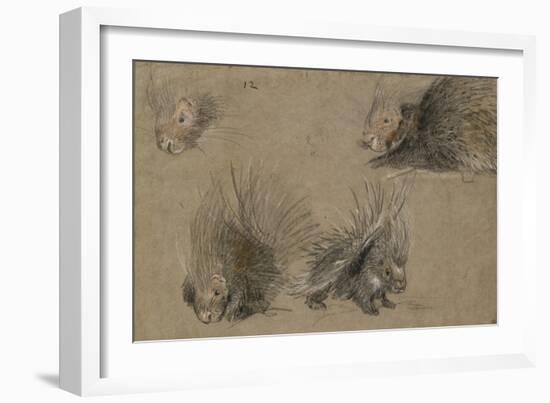 Quatre études de porc-épic-Pieter Boel-Framed Giclee Print