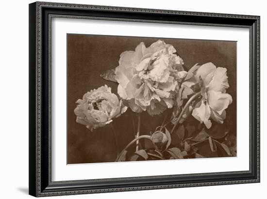 Quatre pivoines-Charles Aubry-Framed Giclee Print